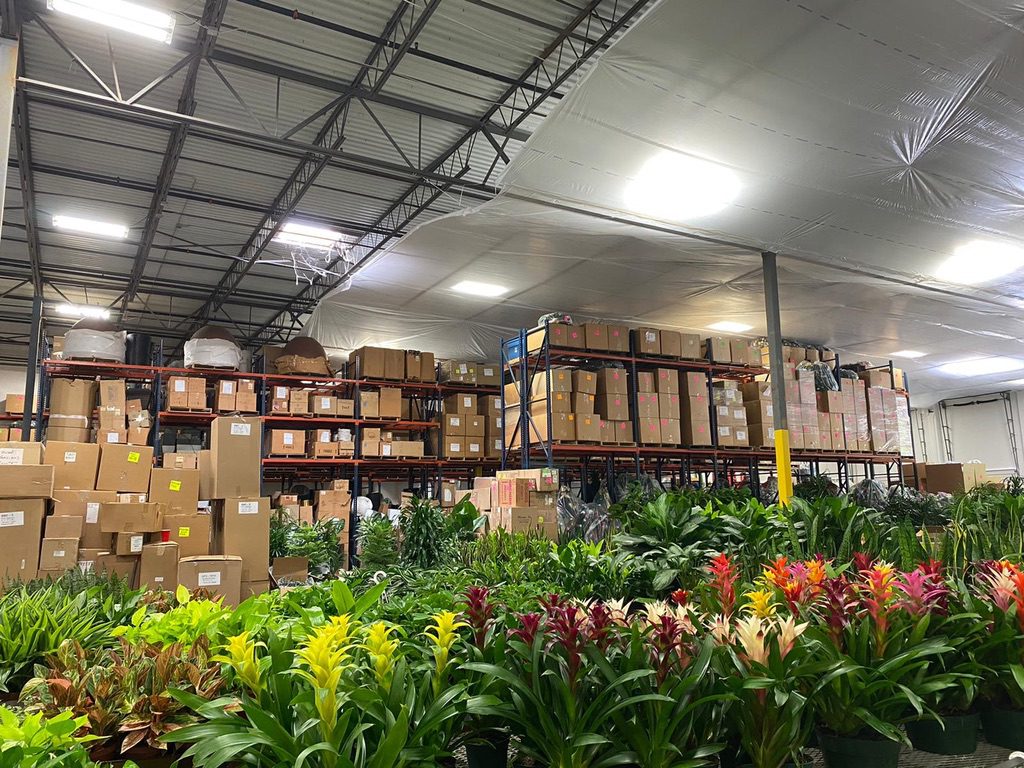 A warehouse filled with lots of plants and boxes.